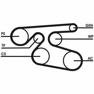 Drivrem, mercedes-benz,nissan,opel,renault,toyota,vauxhall, 1172000Q1J, 4434866, 8200642671, 90916W2010, 93198427, A0029934696