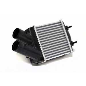 Intercooler, dacia sandero, sandero ii, 7700838130, 8200047162, 8200175069