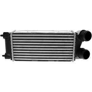 Intercooler, citroën,ds,peugeot, 0384N9, 384N9, 9800291280