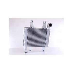 Intercooler, hyundai terracan, kia carnival ii, 28190-4X400, 281914X400