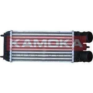 Intercooler, citroën ds3, ds3 cabriolet, ds ds 3, ds 3 cabriolet, peugeot 207, 208 i, 1440.P8, 9803145480