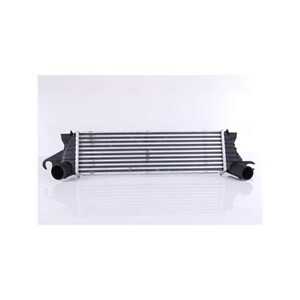 Intercooler, nissan kubistar skåp, renault kangoo, kangoo express, 2141000Q0C, 21410-00Q0C, 21410-00QAB, 82 00 073 413, 82 00 1