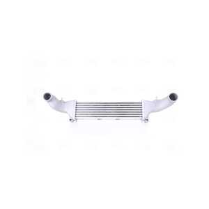 Intercooler, mercedes-benz c-klass [w202], c-klass t-model [s202], clk [c208], clk cabriolet [a208], 202 500 06 00, 202 500 09 