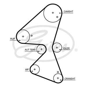 Kamrem, citroën,ds,ford,opel,peugeot,toyota,vauxhall, 16 289 256 80, 2191025, 2421084, 3556997, 9819401580, JX6Q-6K288-AB, JX6Q