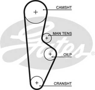 Kamrem, honda accord ii, accord iii, accord aerodeck iii, accord coupé iii, accord hatchback ii, prelude ii, 06141-PC6-305, 144