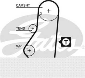 Kamrem, citroën,fiat,lancia,peugeot, 0816.48, 0816.60, 0816.62, 0816.71, 081648, 081660, 081662, 081671, 71739922, 95639605, 96