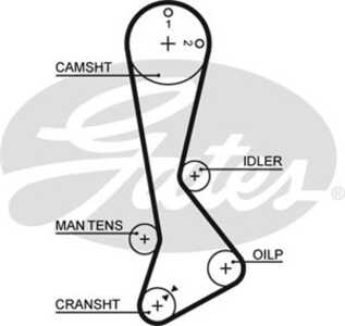 Kamrem, toyota starlet, 13568-10013, 13568-10021, 13568-10022, 13568-10023, 13568-10024, 13568-19015, 13568-19016