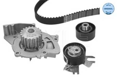 Kamremskit med vattenpump, citroën,fiat,ford,lancia,peugeot, 1609525480, 1761941, 1855732, 3M5Q8B596BA, 71771583