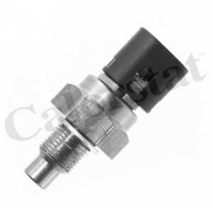 Kylvätsketemperatur-sensor, Bak, Upptill, renault, 7700805612