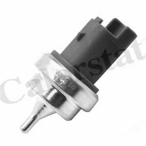 Kylvätsketemperatur-sensor, Nedre, Upptill, citroën,mini,peugeot, 1338F3, 1338F8, 13627535068, 96566364