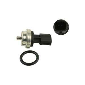 Kylvätsketemperatur-sensor, dacia,fiat,infiniti,mercedes-benz,nissan,opel,renault,smart,vauxhall, 11 06 039 99R, 11 06 093 63R,