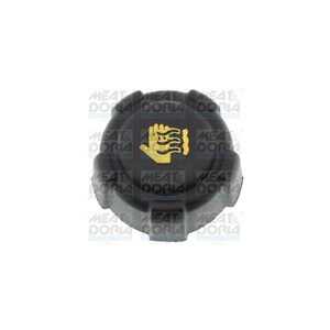 Lock, kylare, dacia,mercedes-benz,nissan,renault, 04408066, 091166192, 21430-AX300, 21430-AX30A, 21430-AX600, 4155010015, 44080