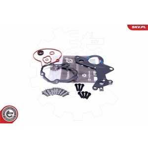 Rep.sats, vakumpump (bromsar), audi,ford,seat,skoda,vw, 038145209, 038145209A, 038145209C, 038145209E, 038145209H, 038145209K, 