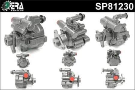 Servopump, renault avantime, espace iii, espace iv, laguna ii, laguna grandtour ii, vel satis, 49 11 030 97R, 49 11 089 77R, 77