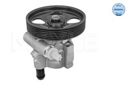 Servopump, renault avantime, espace iii, espace iv, laguna ii, laguna grandtour ii, vel satis, 491103097R, 7700437081, 82000019