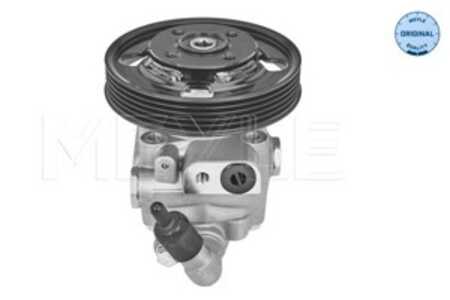 Servopump, ford s-max, volvo s80 ii, 1 463 842, 36000342, 36000516, 36002206, 8603704