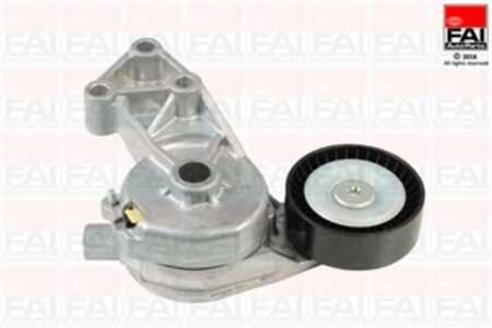 Spännrulle, Drivrem, audi,ford,seat,skoda,vw, 038 903 315 AE, 038 903 315 F, 1122523, 1376631, YM216K254AA, YM216K254EA